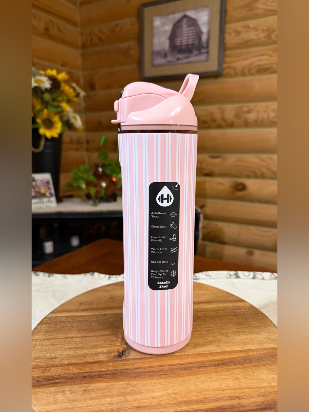 CABANA Pink Stripes HydroJug 24oz Ease2o Insulated Water Bottle • LEAKPROOF